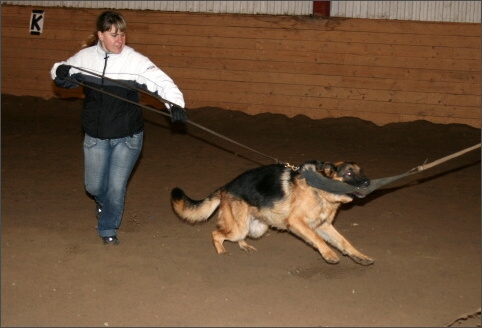 Training in Estonia 11/2007